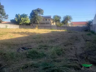 Arapongas - Terreno - Jardim Panorama - Foto 2