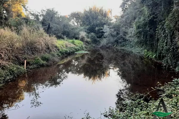 Cambé - Chácara - Santa Maria - Foto 6