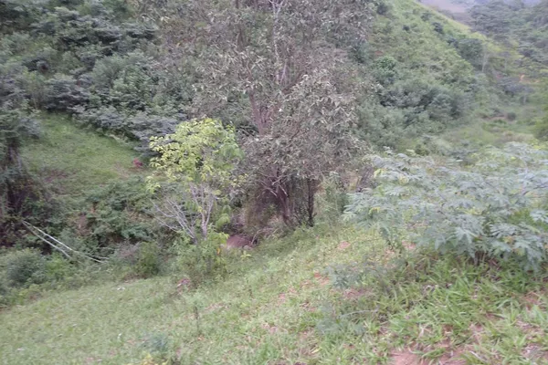 Fazenda 13,5 Hactare à Venda, Pau Brasil , Barra do Choça, BA - Foto 1