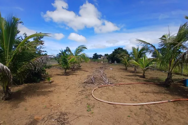 Lote 1000m² em Barra do Choça Ba. - Foto 5