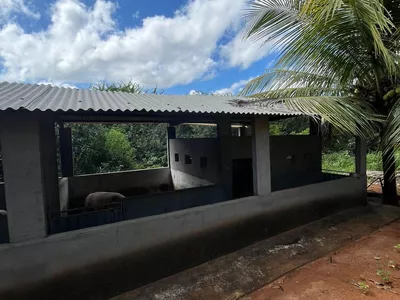 Excelente Sítio à Venda em Caraíbas – 3 Hectares, Casa e Estrutura Completa – Água em Abund? - Foto 39