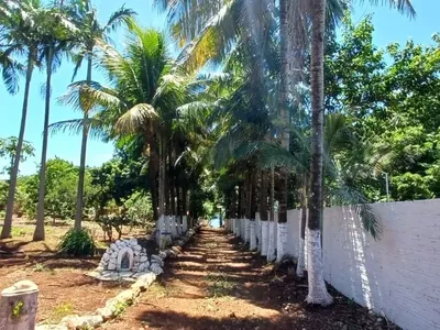 Alvorada do Sul - Chácara - 2 quartos - Recanto dos Magnatas - Foto 4