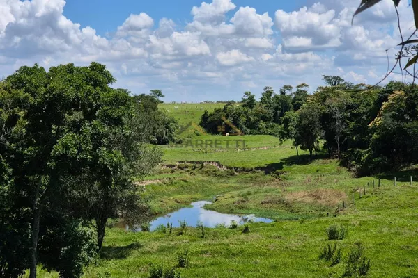 Sítio de 6,6 hectares com água, solo fértil e alto potencial produtivo à venda no Manduca Coelho - Foto 3