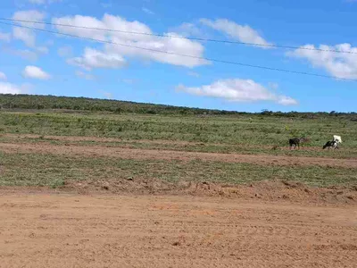 Lote à Venda com área 8 mil metros quadrados na Rodovia Barra do Choça, Estiva , Vitória da Con - Foto 2