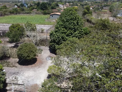 Sítio a venda na Lagoa das Flores com 2 casas, árvores frutíferas, poço artesiano, irrigação, - Foto 39