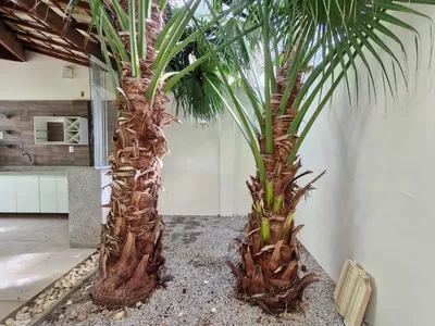 Casa em Condomínio à venda, Alto do Boa Vista Bairro Boa Vista Vitória da Conquista, BA - Foto 18