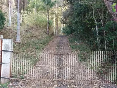 Chácara com 04 Alqueires para venda a 6km do PB Shopping em Pato Branco - Foto 17