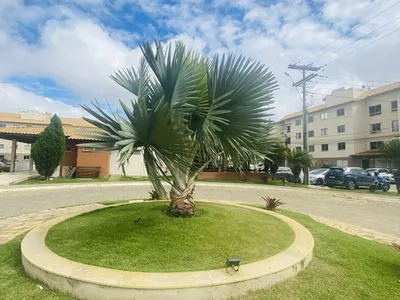 Vendo de porteira fechada, lindo apartamento mobiliado no bairro Boa Vista. - Foto 36