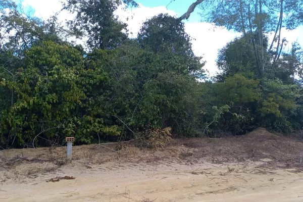 VENDO OU TROCO Sítio de 20 mil m² dentro de cond. fechado já com cerca, no Terra Estância das Ro - Foto 2