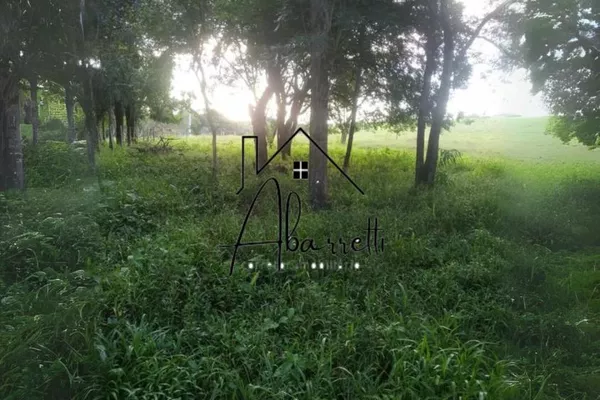 Sítio à venda com 25.509 m² em Manduca Coelho - Foto 6