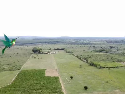 Otima Fazenda à Venda, Zona Rural , Barra do Choça, BA - Foto 4