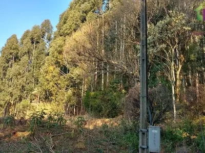 Chácara com 04 Alqueires para venda a 6km do PB Shopping em Pato Branco - Foto 16