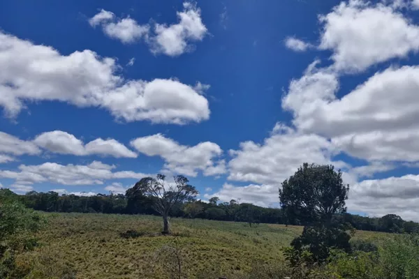 Fazenda em 112 hectares em Planalto - Foto 6