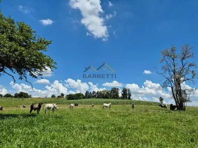 Sítio de 6,6 hectares com água, solo fértil e alto potencial produtivo à venda no Manduca Coelho - Foto 15