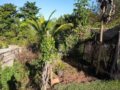 Chácara à venda no bairro Tupi, com 1.650 m² de terreno, nascente de água, piscina e 2 quartos - Foto 41