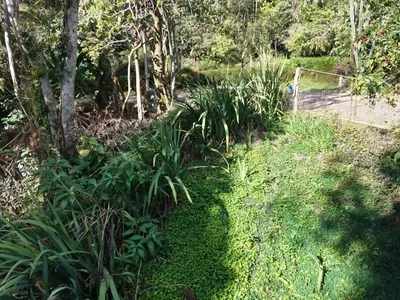Terreno para venda,  CônegoVillaGhandi, Nova Friburgo - Foto 9