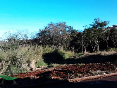 Cornélio Procópio - Rural Chácara -  Jardim Porto Belo - Foto 12