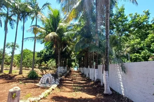 Alvorada do Sul - Chácara - 2 quartos - Recanto dos Magnatas - Foto 4