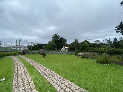 Terreno/chácara para venda no Tatuquara/Campo do Santana com 10.000m² Curitiba - Foto 17