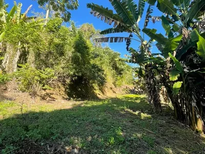 Terreno para venda,  São Pedro Da Serra, Nova Friburgo - Foto 4