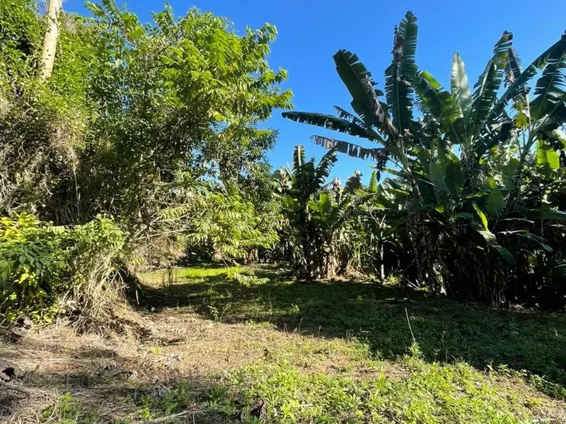 Terreno para venda,  São Pedro Da Serra, Nova Friburgo - Foto Principal