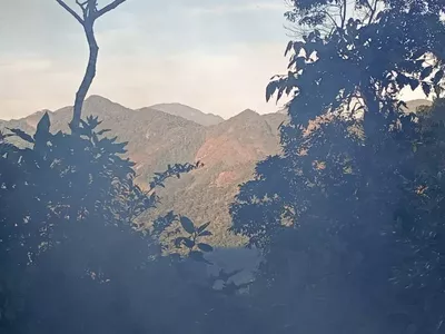 Casa para venda,  São Pedro Da Serra, Nova Friburgo - Foto 7