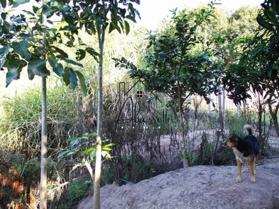 Chácara à venda no bairro Tupi, com 1.650 m² de terreno, nascente de água, piscina e 2 quartos - Foto 55