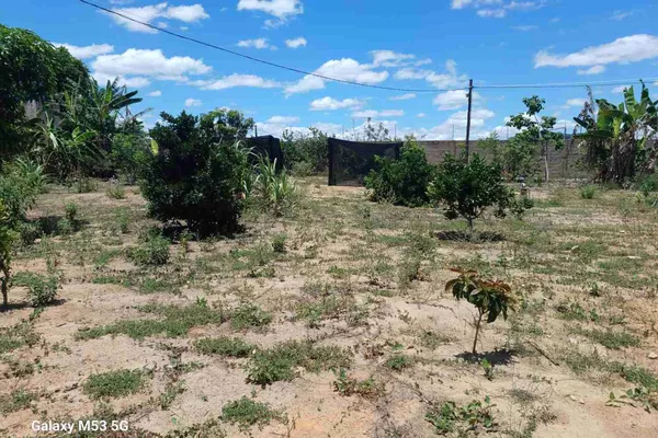 Sítio à Venda, zona Rural , São Sebastião do Passé, BA - Foto 5