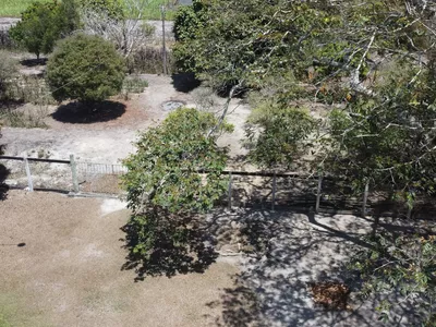 Sítio a venda na Lagoa das Flores com 2 casas, árvores frutíferas, poço artesiano, irrigação, - Foto 34