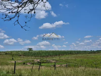 Sítio de 6,6 hectares com água, solo fértil e alto potencial produtivo à venda no Manduca Coelho - Foto 9