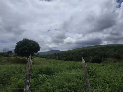 FAZENDA A VENDA REGIÃO DO MORRO DO CHAPÉU - Foto 16