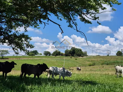 Sítio de 6,6 hectares com água, solo fértil e alto potencial produtivo à venda no Manduca Coelho - Foto 7