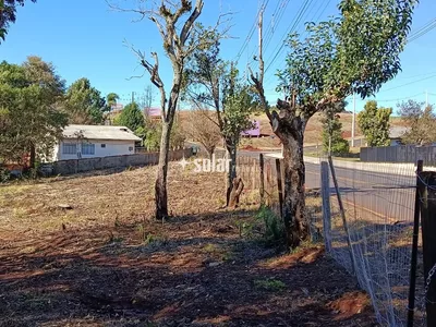 TERRENO AMPLO EM ÁREA DE PLENA EXPANSÃO - Foto 3