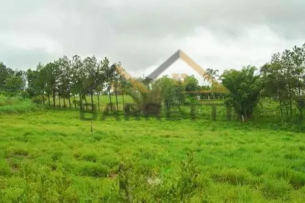 Terreno de 5.780 m² à venda em Artemis - Foto 3