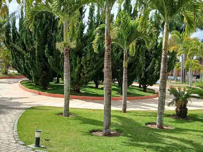 Lote à Venda, Haras Residence José Gonçalves, Vitória da Conquista, BA - Foto 3