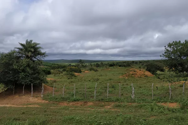 FAZENDA A VENDA REGIÃO DO MORRO DO CHAPÉU - Foto 1