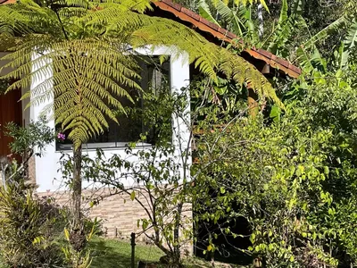 Sítio para venda,  Galdinópolis, Nova Friburgo - Foto 35