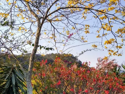 Casa para venda,  Chácara do Paraíso, Nova Friburgo - Foto 20
