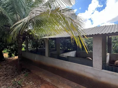 Excelente Sítio à Venda em Caraíbas – 3 Hectares, Casa e Estrutura Completa – Água em Abund? - Foto 38