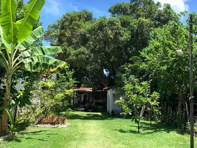 Casa, terreno à Venda Em Barra Grande, Vila, Maraú, BA - Foto 15