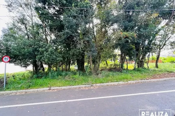 Terreno para venda no Bairro  Vila Isabel em Pato Branco-PR - Foto 1