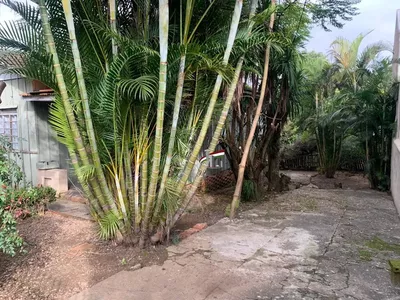 Terreno para venda com 526m²,  Novo Mundo, Curitiba - Foto 5