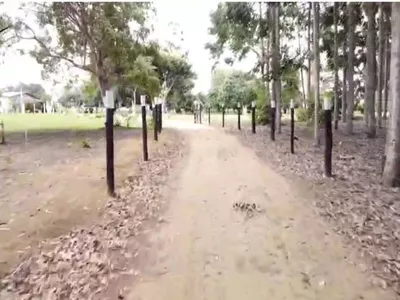 Otima Fazenda à Venda, Zona Rural , Barra do Choça, BA - Foto 10