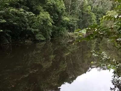 Chácara à venda, Nova Abrantes (Abrantes), Camaçari, BA - Foto 3