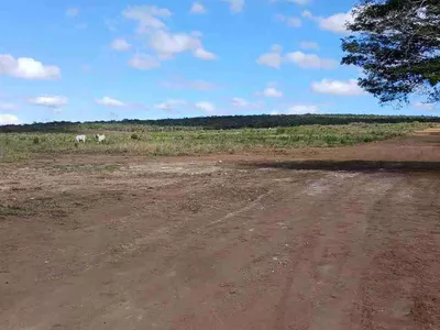 Lote à Venda com área 8 mil metros quadrados na Rodovia Barra do Choça, Estiva , Vitória da Con - Foto 6
