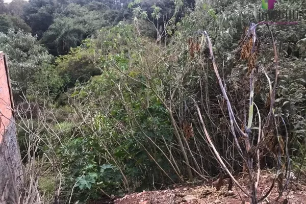 Terreno com fundos para Reserva - Foto 6