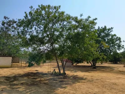 Chácara para venda e locação, Vitória da Conquista, BA - Foto 37