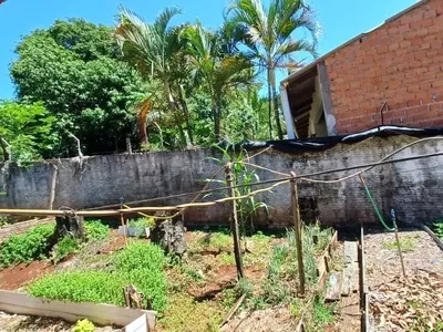 Alvorada do Sul - Chácara - 2 quartos - Recanto dos Magnatas - Foto 14