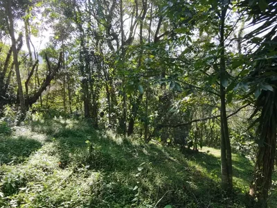 Terreno para venda,  CônegoVillaGhandi, Nova Friburgo - Foto 14