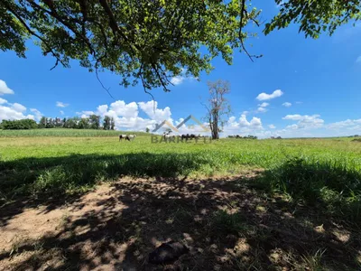 Sítio de 6,6 hectares com água, solo fértil e alto potencial produtivo à venda no Manduca Coelho - Foto 19